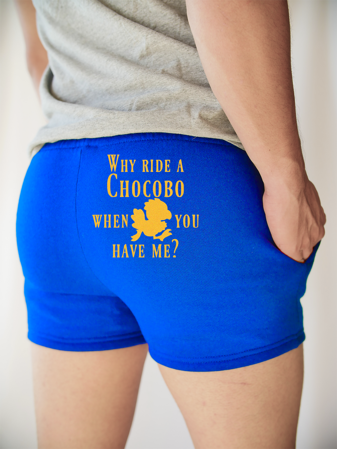 Why Ride A Chocobo Sweatshorts v2